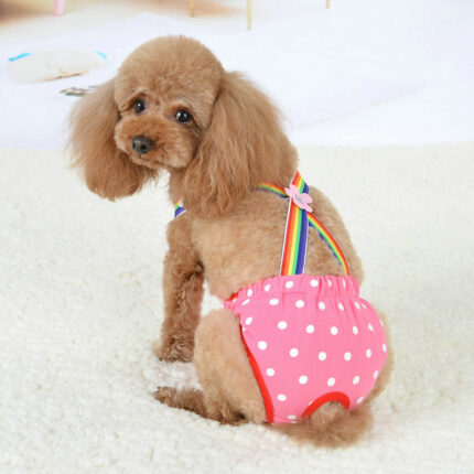 Culotte Menstruelle pour Animaux – Culotte de Chaleurs Mignonne et Confortable